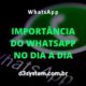 importância do whatsapp no dia a dia